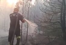 Огнот под Пелистер е ставен под целосна контрола