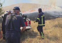 Огновите не стивнуваат – горат шуми и полиња, во опасност и две села