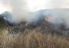 Изгаснат пожарот на градската депонија во Крива Паланка, денеска регистрирани три активни на отворен простор