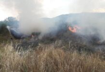 Изгаснат пожарот на градската депонија во Крива Паланка, денеска регистрирани три активни на отворен простор