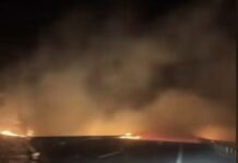 Голем пожар го голта експресниот пат Кочани – Штип/ВИДЕО