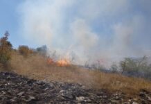 Пожарот во Богомила се доближува до куќите