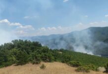 Над 20 пожари низ Македонија, критично во Струмичко: Огнот се приближи до куќи