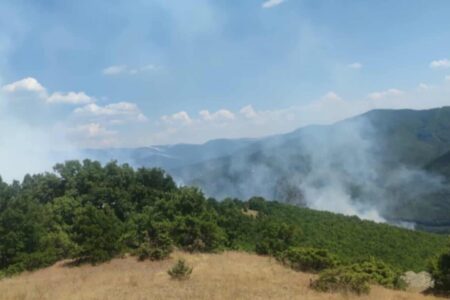 Над 20 пожари низ Македонија, критично во Струмичко: Огнот се приближи до куќи