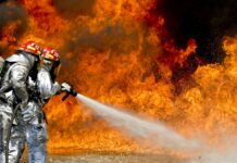 Нова огнена стихија во Грција: Пожар пустоши недопрена борова шума, издадена наредба за евакуација на три населби