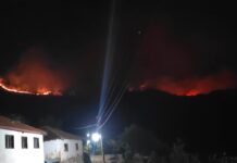 Пожарот кај Палиград се приближува до куќите: Пожарникарите остануваат цела ноќ, утрово ќе се гасне и од воздух