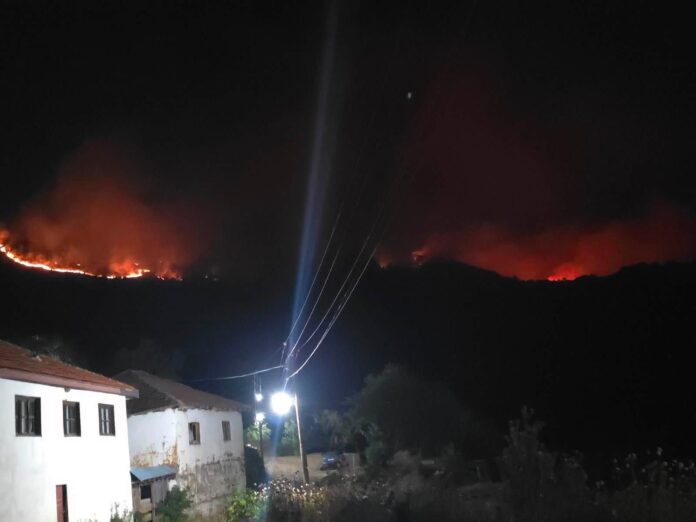 pozzar paligrad cuk