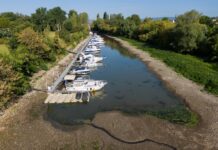 „Дојче веле“: Рекордно ниското ниво на водата на Рајна го менува речниот сообраќај во Германија