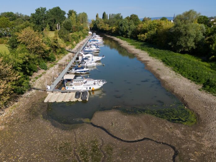 Low water level at Rhine River in Mainz