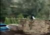 Нова катастрофа во Шпанија: Најмалку две лица загинаа, две се повредени во поплавите во северозападниот дел на земјата/видео