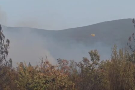 Локализиран е пожарот во Националниот парк „Пелистер“ – противпожарни единици цела ноќ дејствуваа на терен