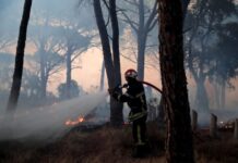 Истра гори: Пламените јазици проголтаа хектари вегетација, канадери итно испратени на терен/ВИДЕО