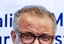 Корпорациите за преработена и брза храна го попречуваат решението за проблемот со гојазноста