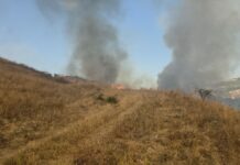 Гори и кавадаречката депонија – пожарот е предизвикан од човечки фактор/ВИДЕО
