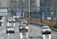 34 животи спасени за осум месеци на македонските патишта