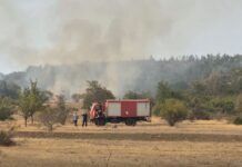 Гори кај Кириловец и помеѓу селата Октиси и Белица