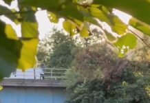 Маж од возило фрла ѓубре во реката Радика