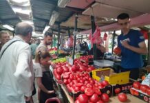 Веќе нема евтини домати и краставици, во маркетите сe над 100 денари за килограм