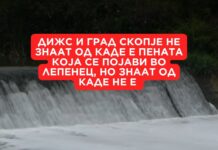 Белата пена во Лепенец не потекнувала од правни субјекти кои се во надлежност на ДИЖС и на Град Скопје