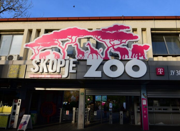 3-zoo