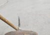 Вонредна дератизација во Центар