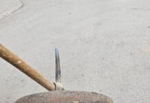 Вонредна дератизација во Центар