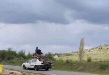 Дрвокрадци претепале двајца вработени од шумското стопанство „Серта“