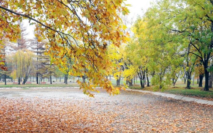 esen-nasha