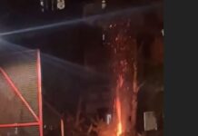 Пукале петарди и запалиле дрво