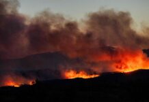 Голем пожар во Франција: 200 пожарникари се борат со огнената стихија, пламенот се доближи до куќите