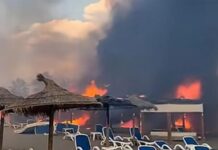 Огнот проголта сè: Изгоре популарна плажа во Црна Гора/ВИДЕО