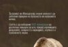 Почнува првиот национален генетски мониторинг на кафеавата мечка во Македонија