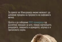 Почнува првиот национален генетски мониторинг на кафеавата мечка во Македонија