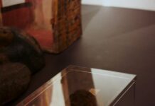 Пронајдена непозната ДНК кај мумии стари 7.000 години: Шокантно откритие што го менува сè она што го знаевме за еволуцијата