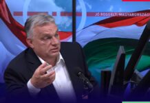 Орбан ѝ честита на АфД за победата во Саксонија-Анхалт: Голема ноќ за Германија и Европа