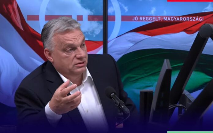orban krop video juni25