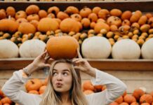 Тиква – сезонски дар за сите сетила: Боја, мирис и вкус незаменливи за здравјето