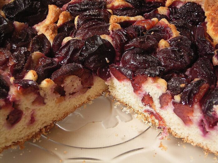Plum_cake_08_ies