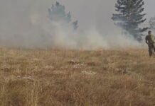 Најавениот дожд се очекува да помогне во справувањето со огнените стихии
