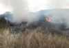 Активни пет пожари на отворен простор, 32 изгаснати во изминатото деноноќие