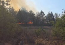 Активен пожарот во Грачани, повторно гори и на Жеден