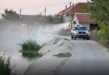Прскање против комарци од земја