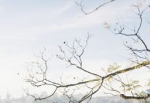 Бројот на луѓе постари од 100 години во Јапонија надмина 100.000