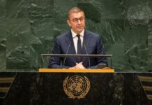 Мицкоски од ОН: Не бараме полесен пат, бараме пат уреден со правила