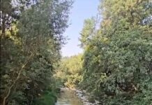Матен Вардар брзо тече и пластика влече!