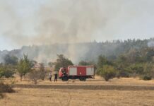 Ни летото не нè спаси од ПМ 10: отровите не „удираат“ по нос