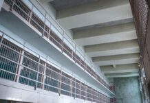 Македонската државјанка, осудена за убиство на куче во Црна Гора, ја отслужи затворската казна