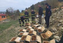Откопани и отстранети повеќе од 1.700 рачни бомби, тромблонски мини и минофрлачки гранати