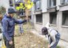 Ќе бидат насадени нови 180 садници на повеќе локации во Карпош