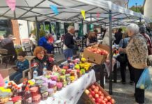 Богатите вкусови на калинката и нејзините производи се најдоа на Фестивалот на калинката во Валандово